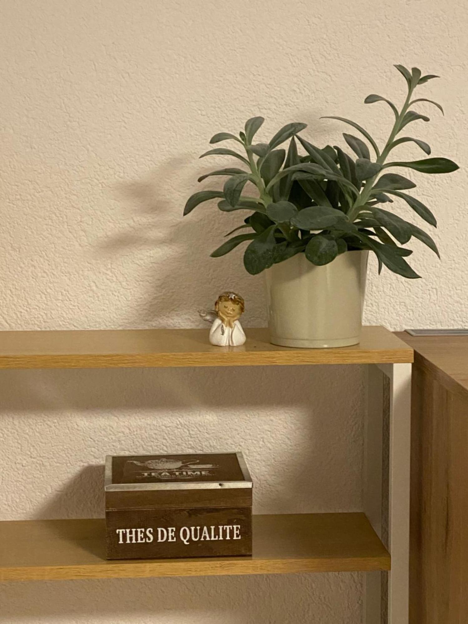 2 Zimmer Ferienunterkunft Gemeinsame Zeit Appenweier Luaran gambar